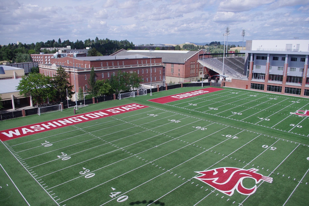 宝格娱乐，注册|通过口碑口感实现品牌传播