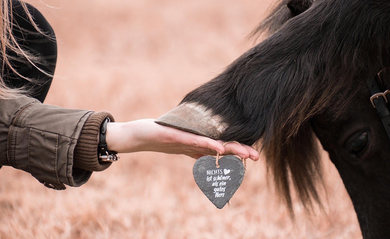 蓝梅花王：皮皮虾直播如何注册账号