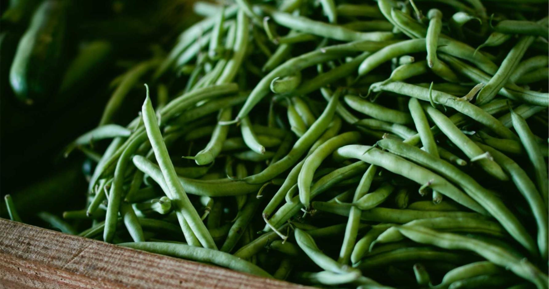 七雄纷争：ps app详情下载教程