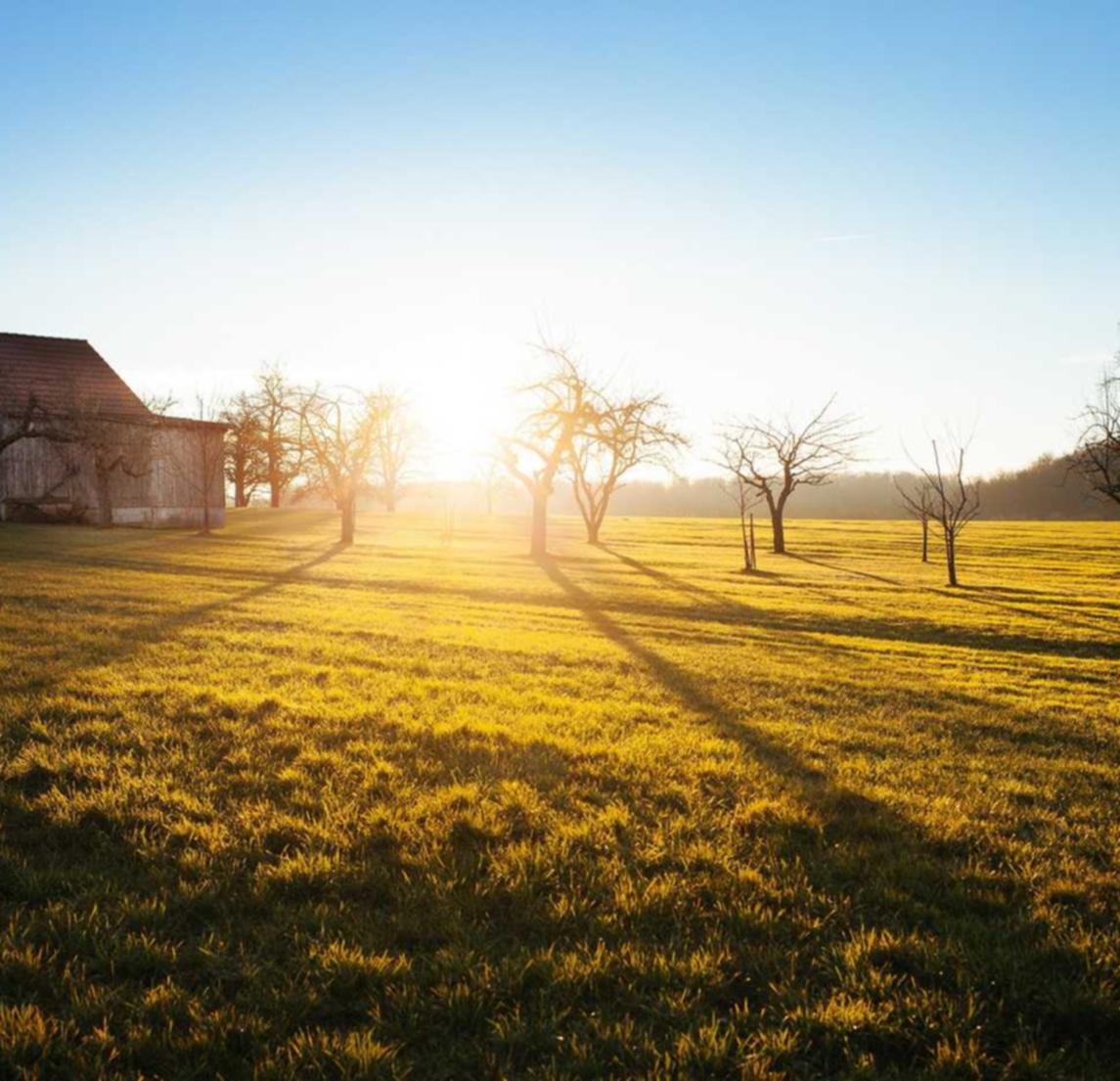 国外微信买卖：不能乱详情下载教程app