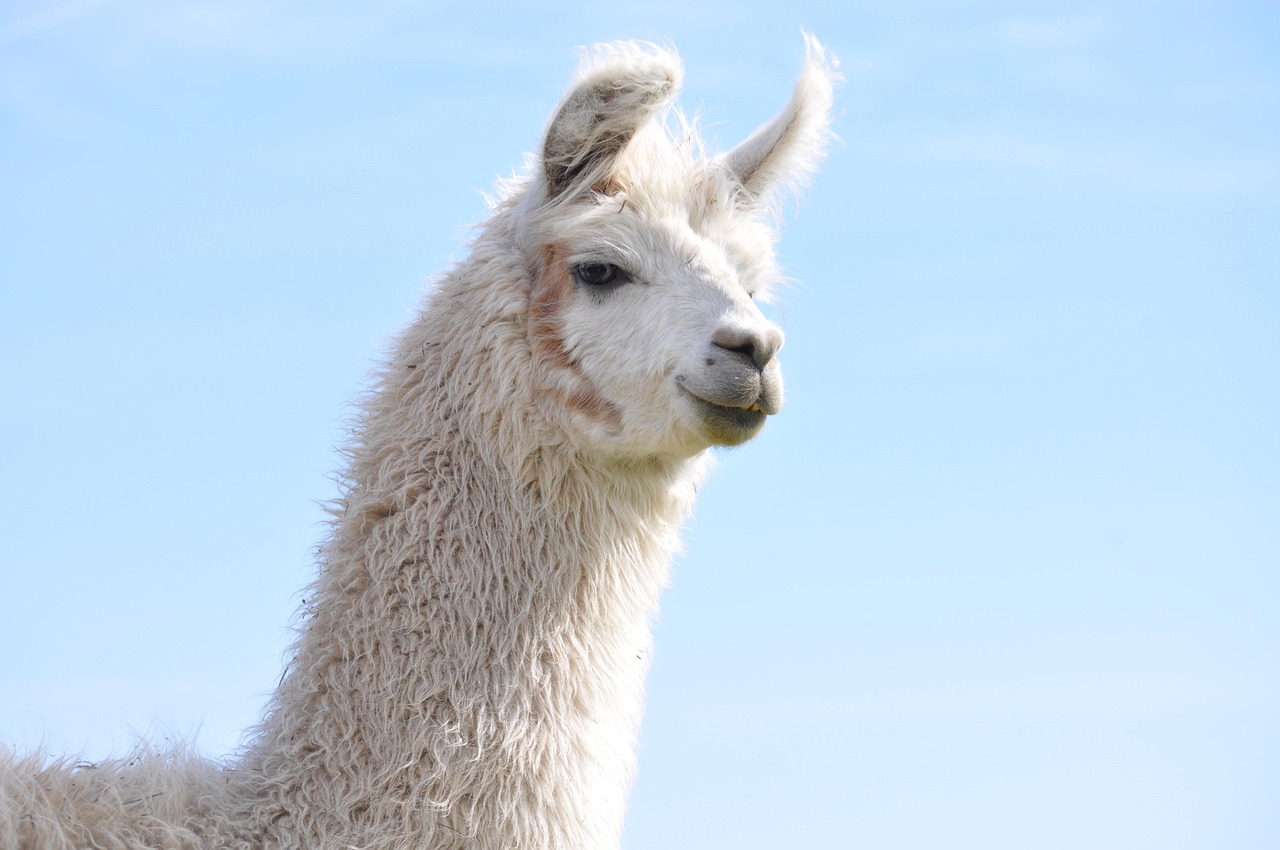 金洋6如何在忠实客户中构建品牌口碑