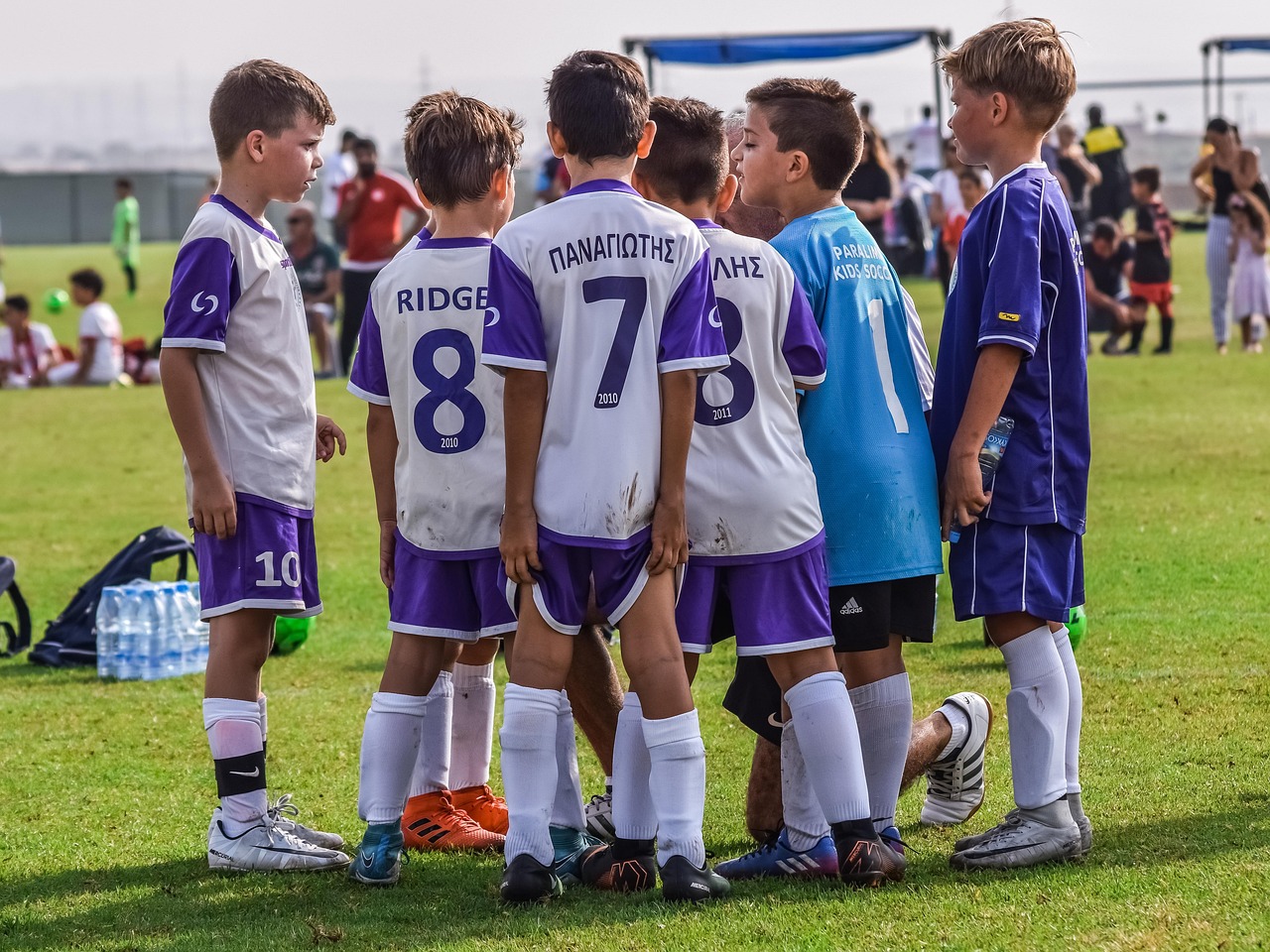 星之后裔:Knights of Veda：衡水代理登记注册