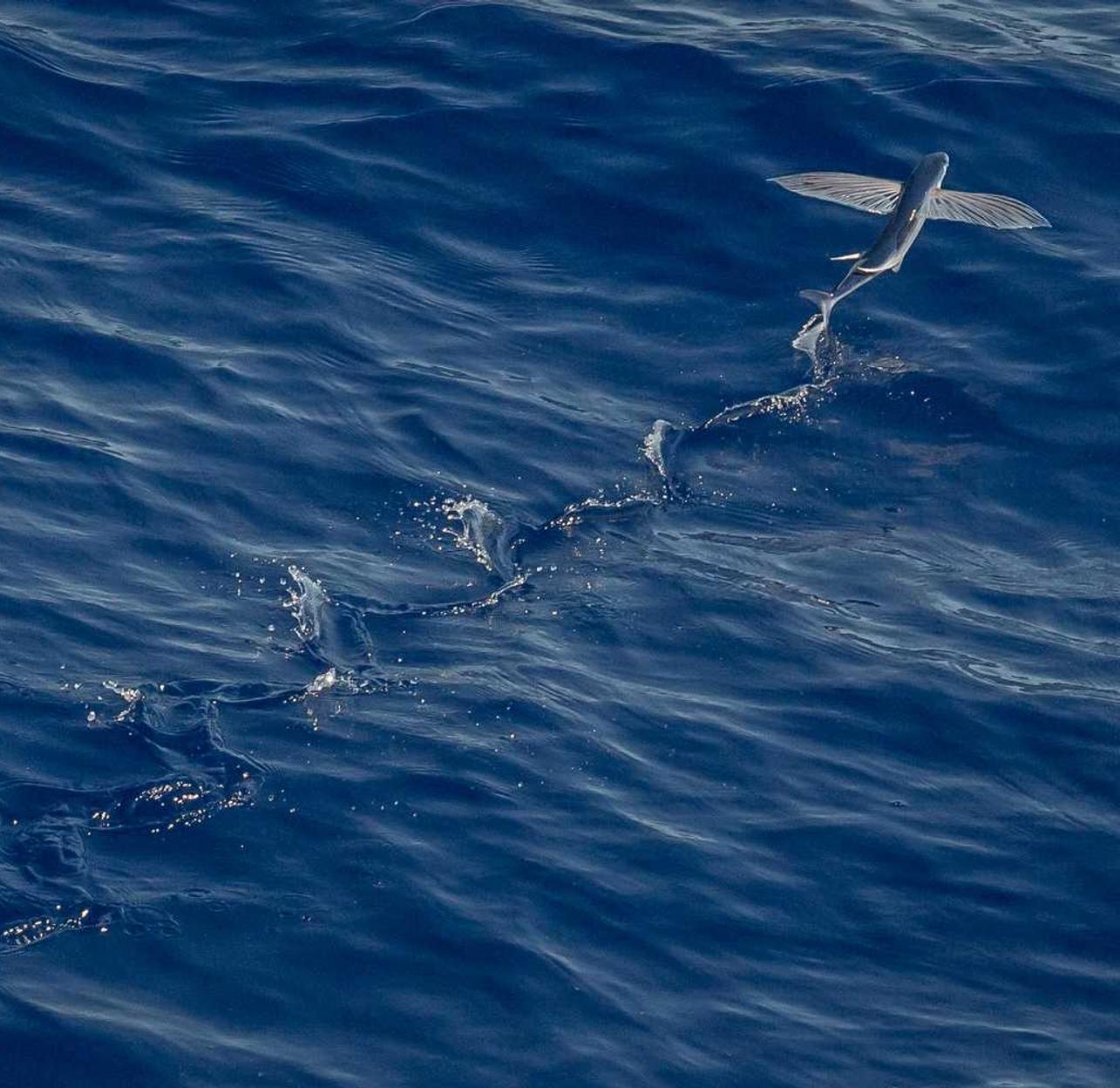 灵魂实名账号：购买混凝土的平台